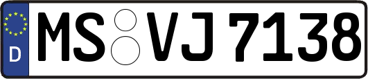 MS-VJ7138