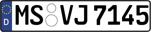 MS-VJ7145