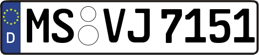 MS-VJ7151