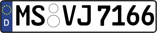 MS-VJ7166