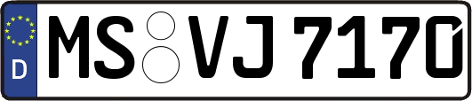 MS-VJ7170
