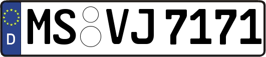 MS-VJ7171