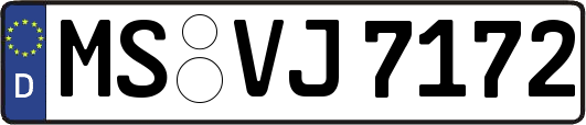 MS-VJ7172