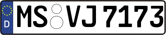 MS-VJ7173