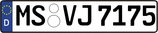MS-VJ7175