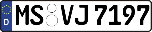 MS-VJ7197