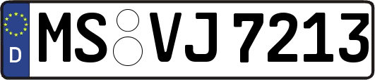 MS-VJ7213