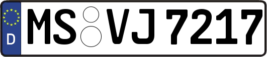 MS-VJ7217