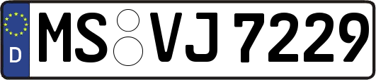 MS-VJ7229