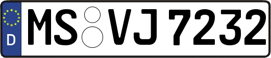 MS-VJ7232