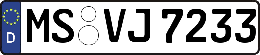 MS-VJ7233