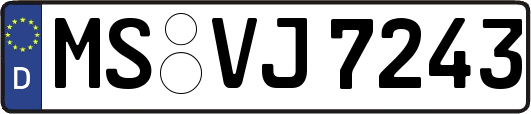 MS-VJ7243
