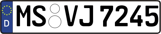 MS-VJ7245