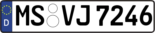 MS-VJ7246
