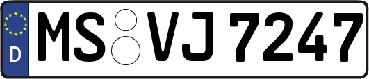 MS-VJ7247