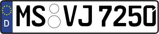 MS-VJ7250