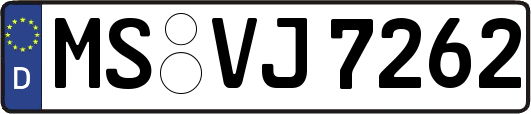 MS-VJ7262