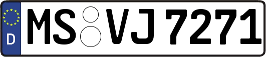 MS-VJ7271