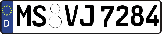 MS-VJ7284