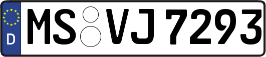 MS-VJ7293