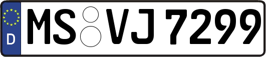 MS-VJ7299