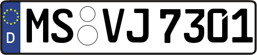 MS-VJ7301