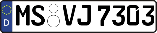 MS-VJ7303