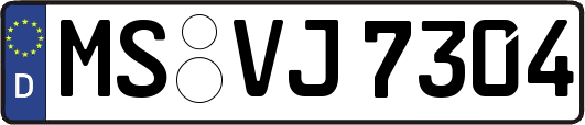 MS-VJ7304