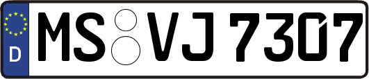 MS-VJ7307