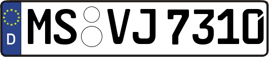 MS-VJ7310