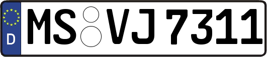 MS-VJ7311