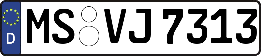 MS-VJ7313