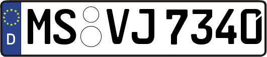 MS-VJ7340