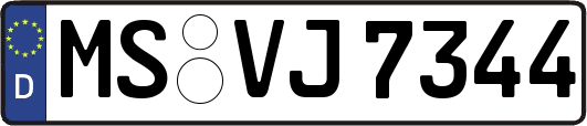 MS-VJ7344