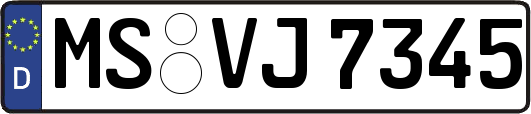 MS-VJ7345