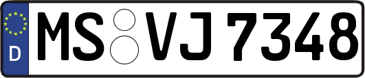 MS-VJ7348
