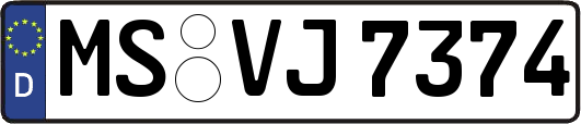 MS-VJ7374