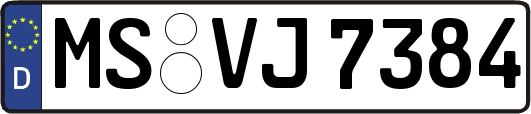 MS-VJ7384