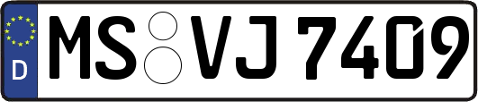 MS-VJ7409