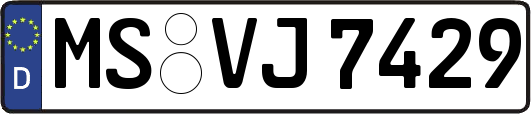 MS-VJ7429