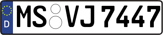MS-VJ7447