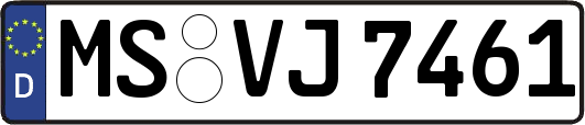 MS-VJ7461