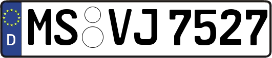 MS-VJ7527