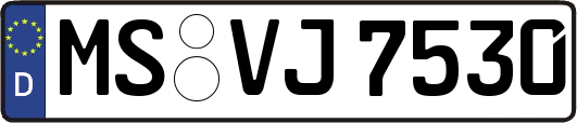 MS-VJ7530
