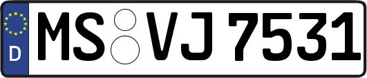 MS-VJ7531