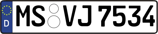 MS-VJ7534