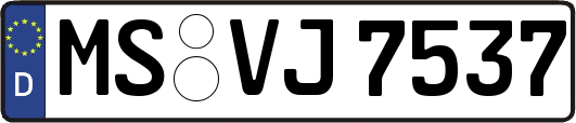 MS-VJ7537