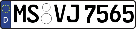 MS-VJ7565