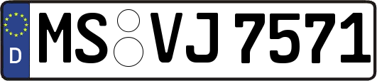 MS-VJ7571