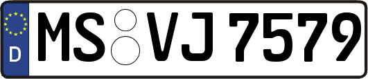 MS-VJ7579